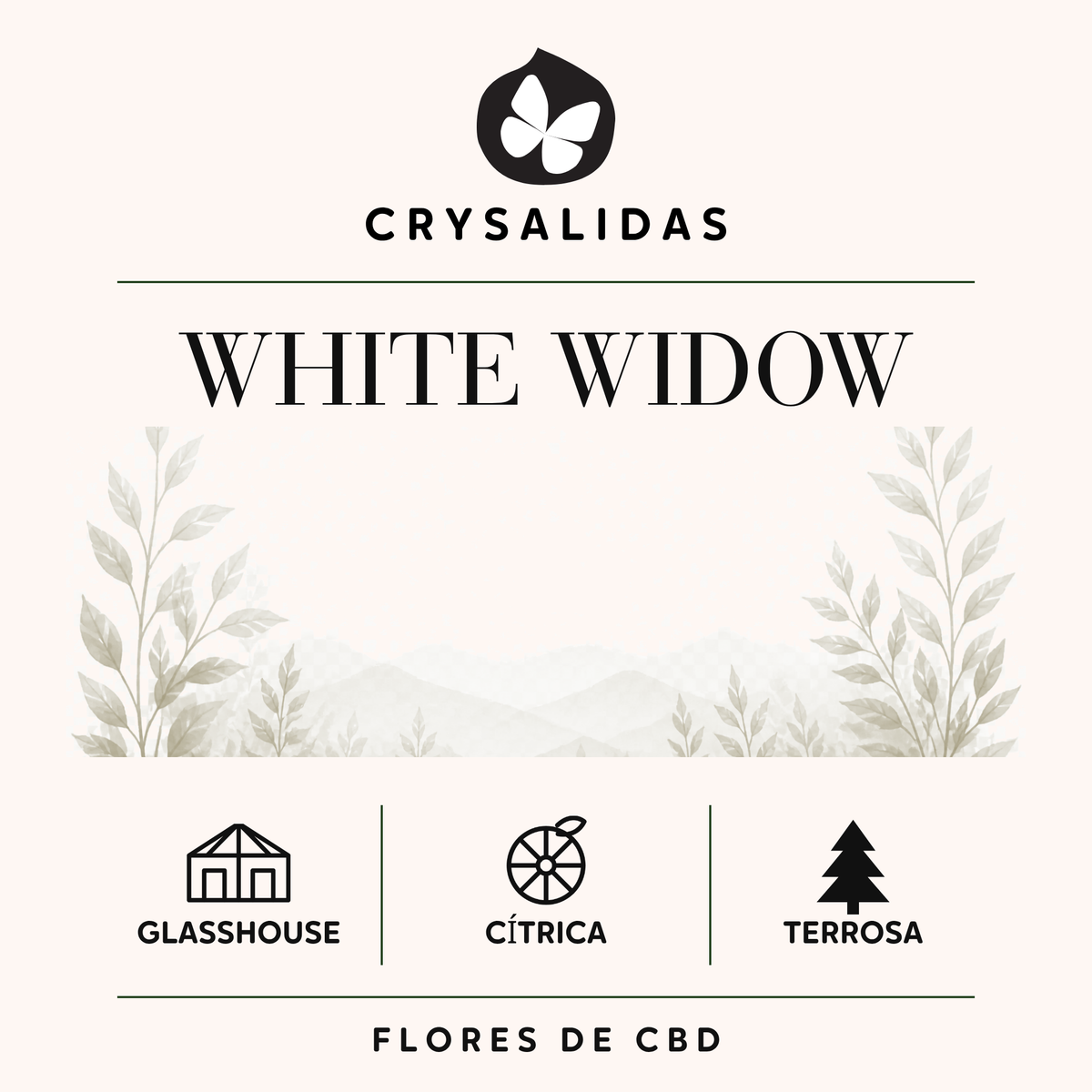 White Widow