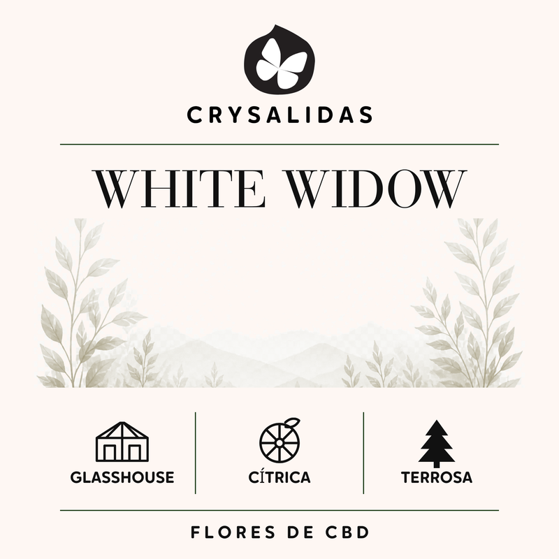 White Widow